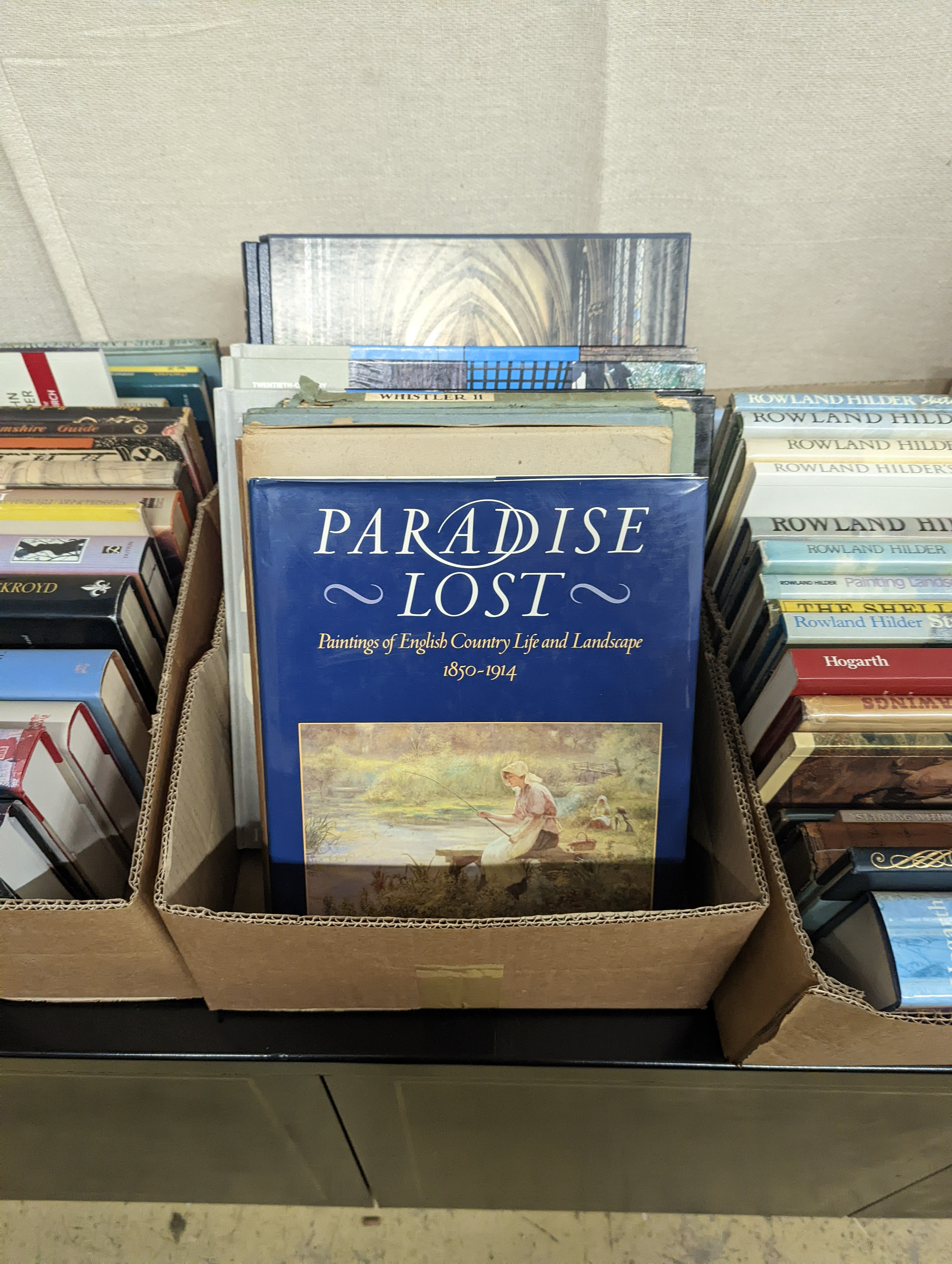 Eleven boxes of assorted books, mainly fine art and local history
